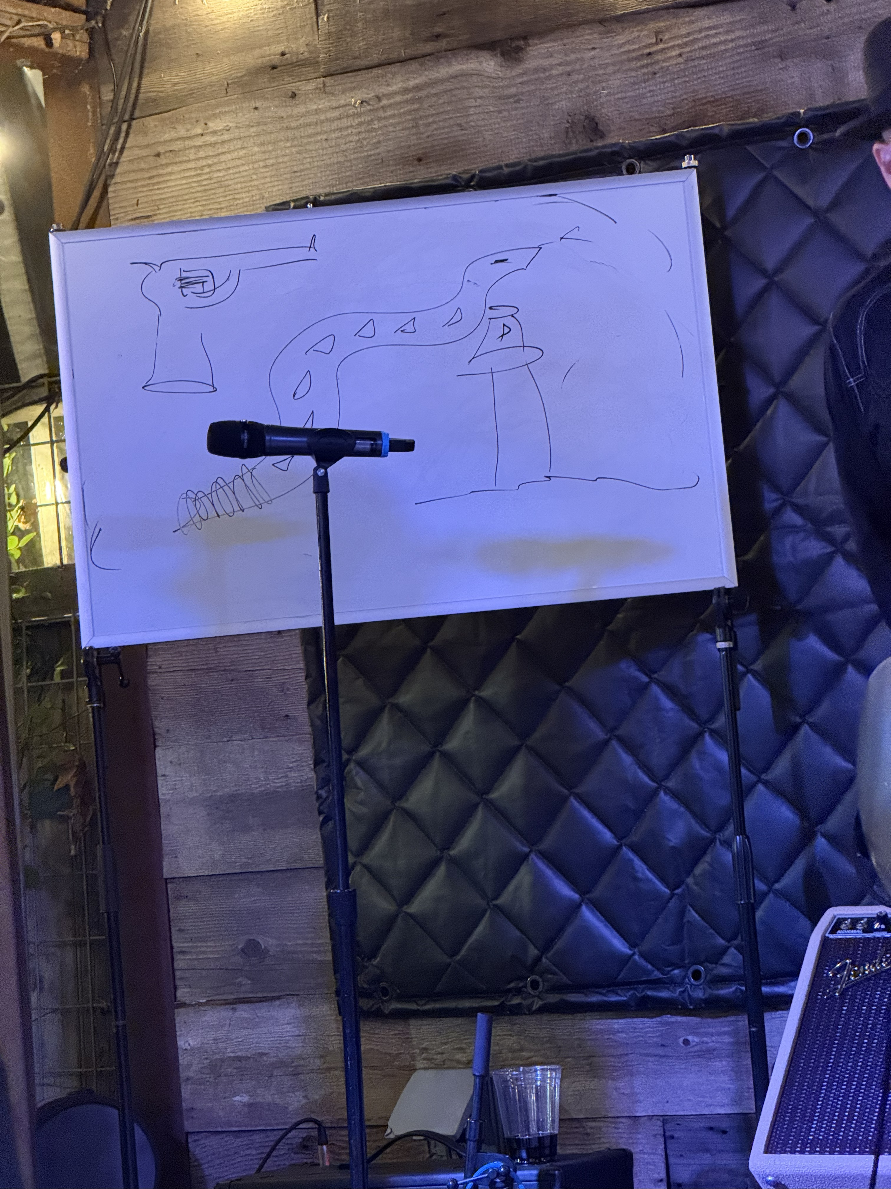 LesClaypool2025-11-22HopmonkTavernSebastopolCA (13).jpg